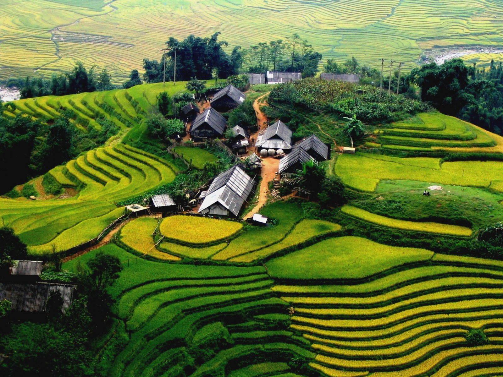 Discover the Northwest of Vietnam 9 Days
